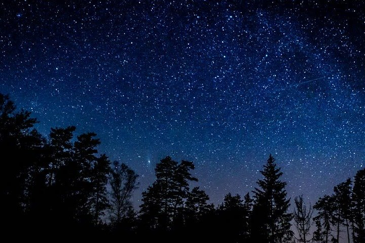 Stargazing in Sequoia National Park - Photo 1 of 6